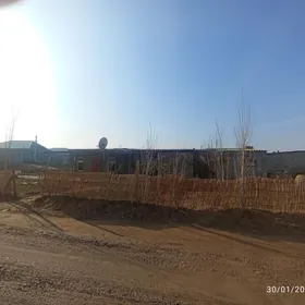 satlyk Jay anew daca