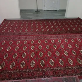 Eýesinden Täze  panel jaý