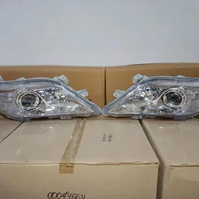 on fara cyra okiz kelle 09