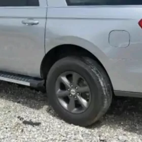 Ford Ekspedişin disga