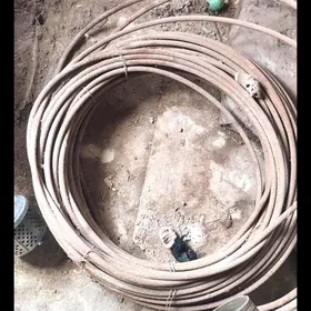 tros 30m, we Gownowoz slanga