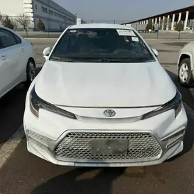 Toyota Corolla 2021