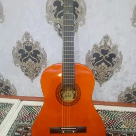 gitara CG-851