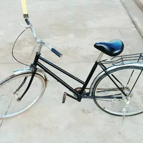 tigir 26lyk ỳopoşga