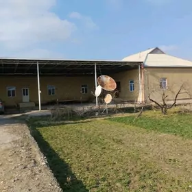 Satlyk jay Uly howly