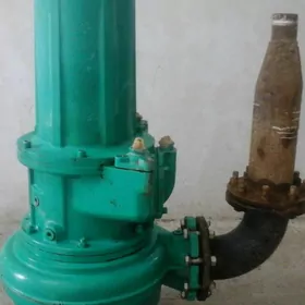 willa nasos 2008 germanya