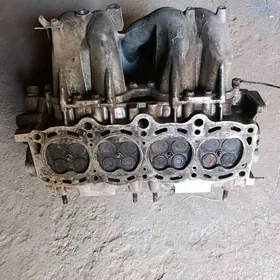 Головка бабочки