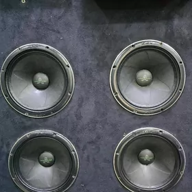 apocalypse Arnold 61 usilitel