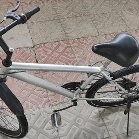 Skorostnoý tigir 26-lyk