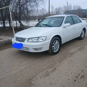 Toyota Camry 1999