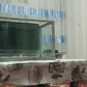 Akwarýum Аквариум