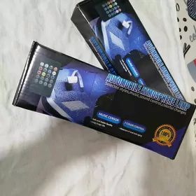 Диодная лента для Машины