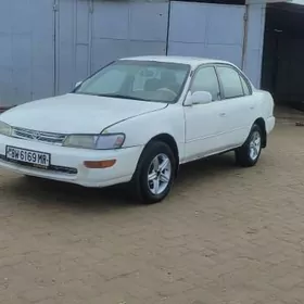 Toyota Corolla 1993