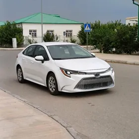 Toyota Corolla 2021