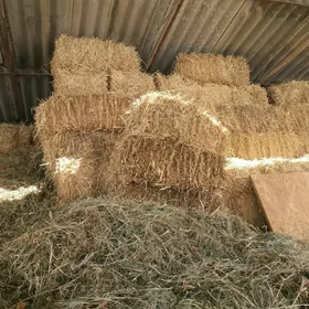 satlyk saman bede ot