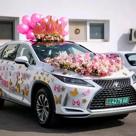 isgar gerek masyn bezegci