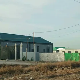 eyesinden gypjak 12 sotok