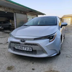 Toyota Corolla 2020
