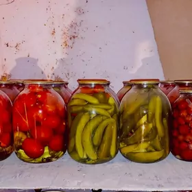 POMIDOR,HYYAR, Burç️