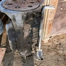 марк матор 2.5