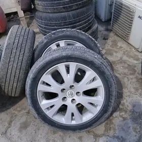 17lik diska pakriska