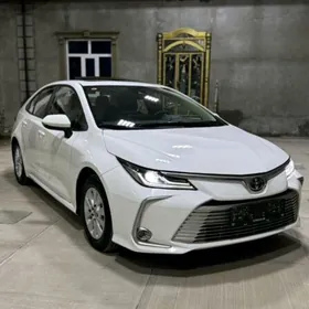 Toyota Corolla 2023