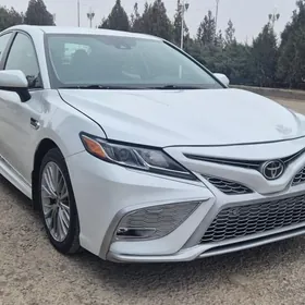 Toyota Camry 2020