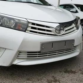 Haliji corolla tumanka ochki