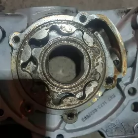 Karopkan 5 nji skorsy 41 dis