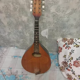 Gitara ors
