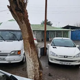 Ford Transit Connect 2009