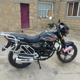 Fekon FK200-14G 2026