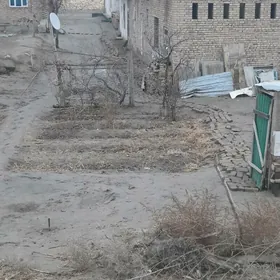 ilic kamunizmda jay satlyk