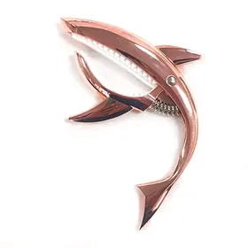 Gitara capo гитара каподастр