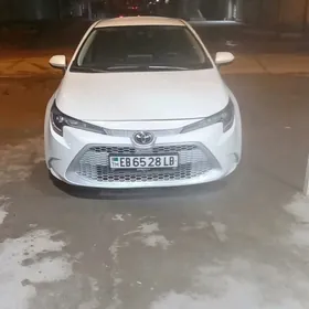 Toyota Corolla 2020