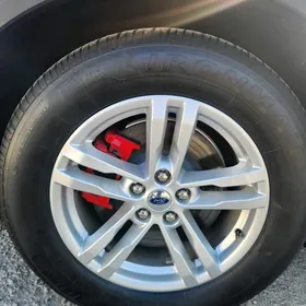 Dika pokryşka 4 komplekt Ford