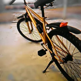 TÜRKMENİSTAN TİGİR