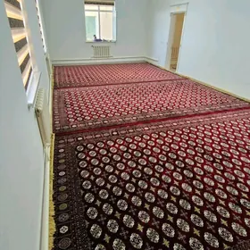 haly magazin dekor golli gulli