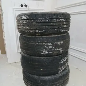 karolan pakryska 205 5516