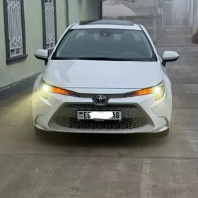 Toyota Corolla 2023