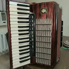 Akkardeon weltmeyster stella