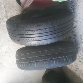 13 lik lada pakriska