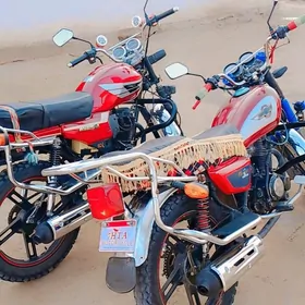 Fekon FK200-14G 2024