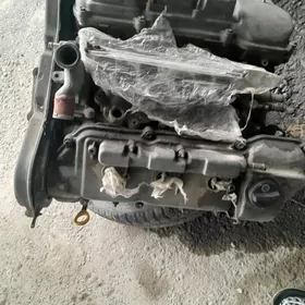 3 lik mator ýaga degýä