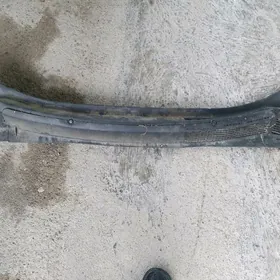 zafira dwornik plasmasy