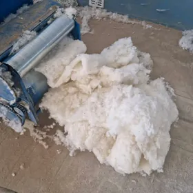 Pagta çigidi aýrylan görnüşde