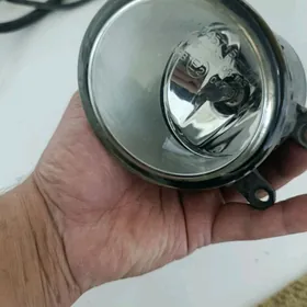 korolla tumalnyk argynal