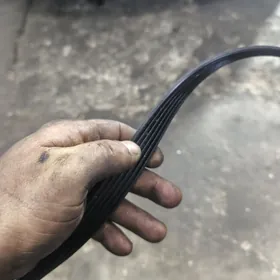 remen dinama morda hundav 2020