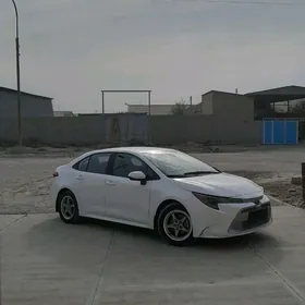 Toyota Corolla 2020