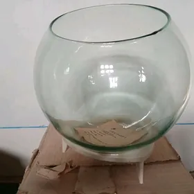 Akwarium ( Аквариум)